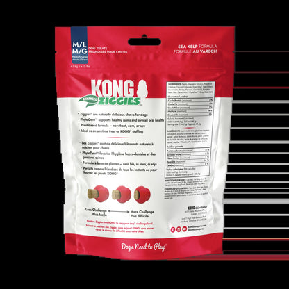 KONG Enhanced Ziggies Plant Based Dog Chew Treat, 5 Count, Large/Medium Dogs