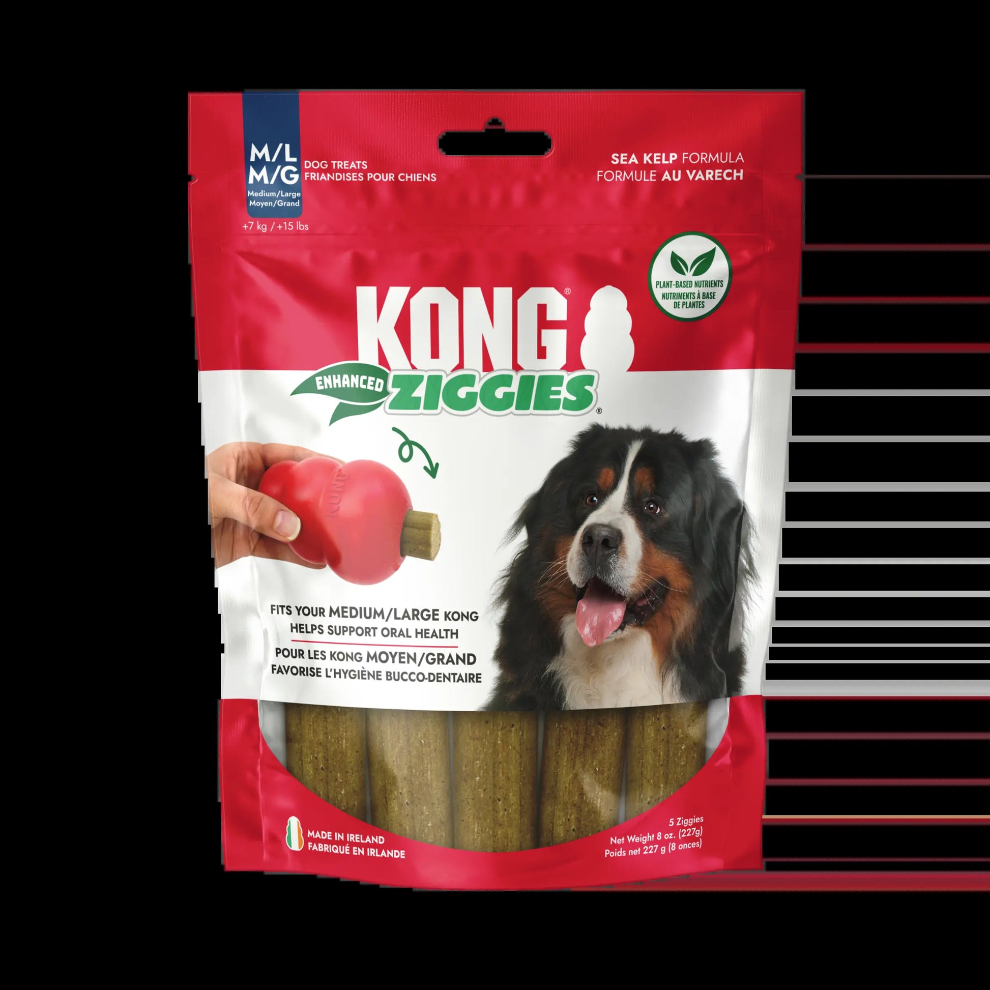 KONG Enhanced Ziggies Plant Based Dog Chew Treat, 5 Count, Large/Medium Dogs