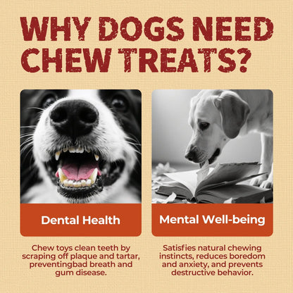 Big-Size Chicken-Wrapped Beef Hide Dog Chew Sticks, Natural Long-Lasting Rawhide Treats for Medium & Large Aggressive Chewers