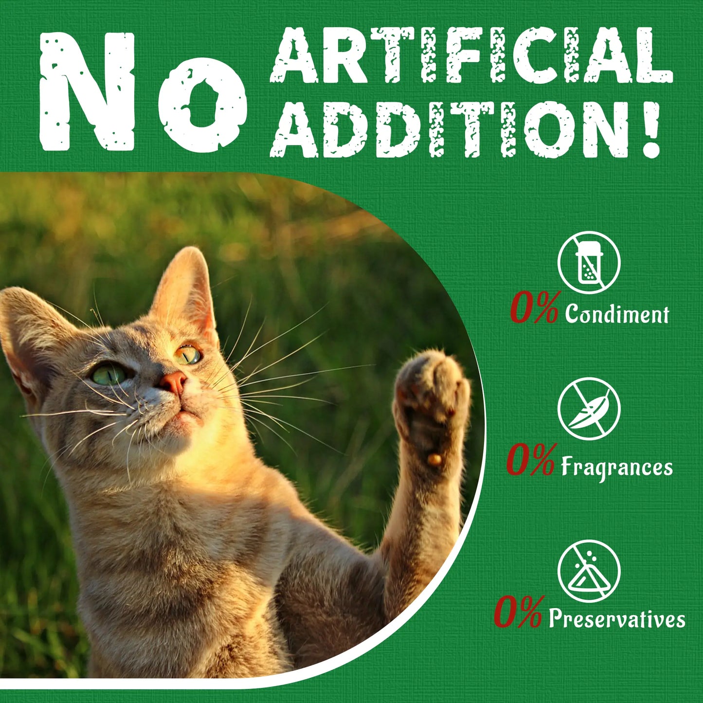 JUST TRY 13.4 OZ Cat Grass Treats Natural Salmon Flavor Healthy Cat Snacks Training Biscuits Catnip for Cats Dental and Hairball Control Treats Remedy Chews