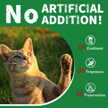 JUST TRY 13.4 OZ Cat Grass Treats Natural Salmon Flavor Healthy Cat Snacks Training Biscuits Catnip for Cats Dental and Hairball Control Treats Remedy Chews