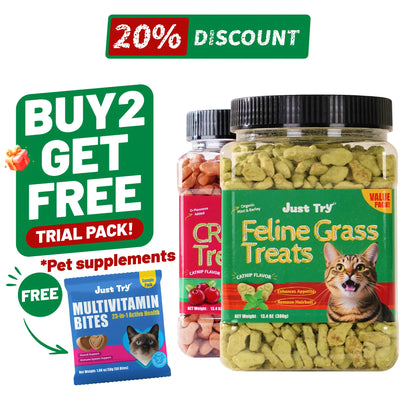 JUST TRY 13.4 OZ Cat Grass Treats Natural Salmon Flavor Healthy Cat Snacks Training Biscuits Catnip for Cats Dental and Hairball Control Treats Remedy Chews
