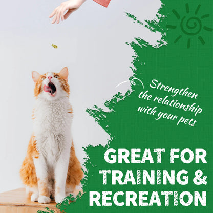 JUST TRY 13.4 OZ Cat Grass Treats Natural Salmon Flavor Healthy Cat Snacks Training Biscuits Catnip for Cats Dental and Hairball Control Treats Remedy Chews