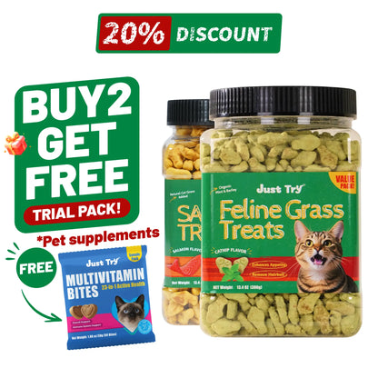 JUST TRY 13.4 OZ Cat Grass Treats Natural Salmon Flavor Healthy Cat Snacks Training Biscuits Catnip for Cats Dental and Hairball Control Treats Remedy Chews