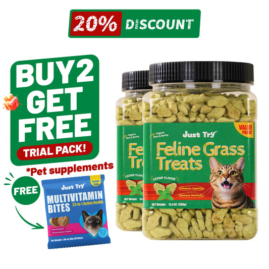 JUST TRY 13.4 OZ Cat Grass Treats Natural Salmon Flavor Healthy Cat Snacks Training Biscuits Catnip for Cats Dental and Hairball Control Treats Remedy Chews