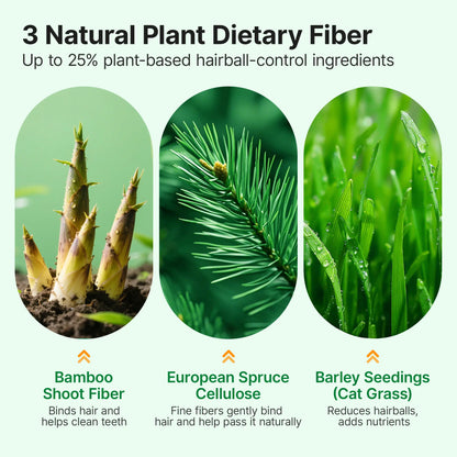 Pawfirst Freeze-Dried Cat Grass Treats for Hairball Control & Digestive Health – Chicken, Natural Barley Grass & Plant Fiber – Grain-Free, Chew Toy Dehydrated Crunchy Bites for Indoor Kittens #Summervibes #Petlovers