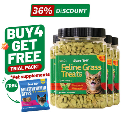 JUST TRY 13.4 OZ Cat Grass Treats Natural Salmon Flavor Healthy Cat Snacks Training Biscuits Catnip for Cats Dental and Hairball Control Treats Remedy Chews