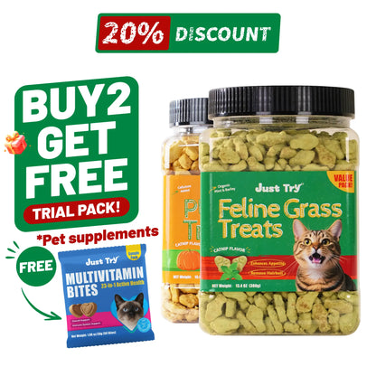 JUST TRY 13.4 OZ Cat Grass Treats Natural Salmon Flavor Healthy Cat Snacks Training Biscuits Catnip for Cats Dental and Hairball Control Treats Remedy Chews