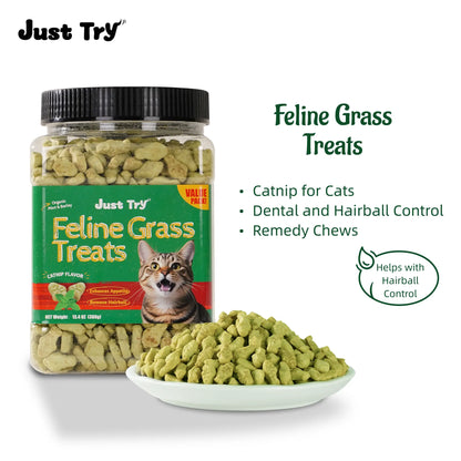 JUST TRY 13.4 OZ Cat Grass Treats Natural Salmon Flavor Healthy Cat Snacks Training Biscuits Catnip for Cats Dental and Hairball Control Treats Remedy Chews